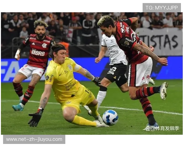 弗拉门戈反击选择合理