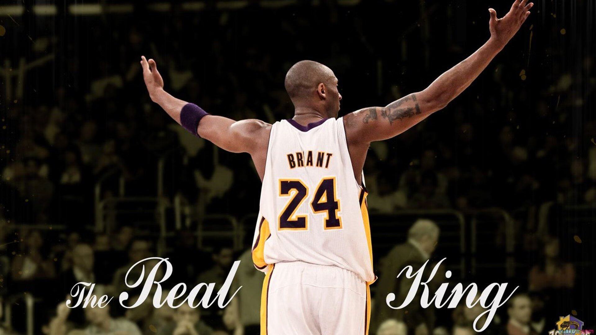 NBA联盟赛事观众行为分析及体验优化，nba观众席